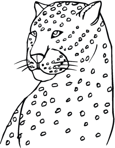 Cheetah Head Coloring Page